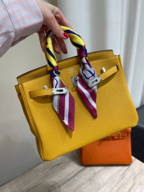 Сумка женская Birkin 25, Togo, GHW