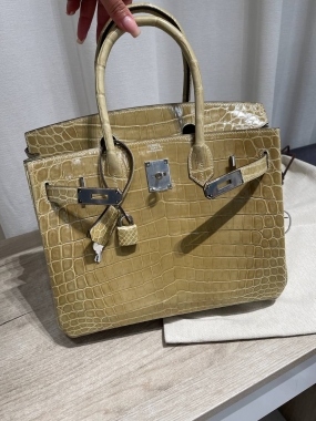 Сумка женская  Birkin, 30 PHW NILOTICUS