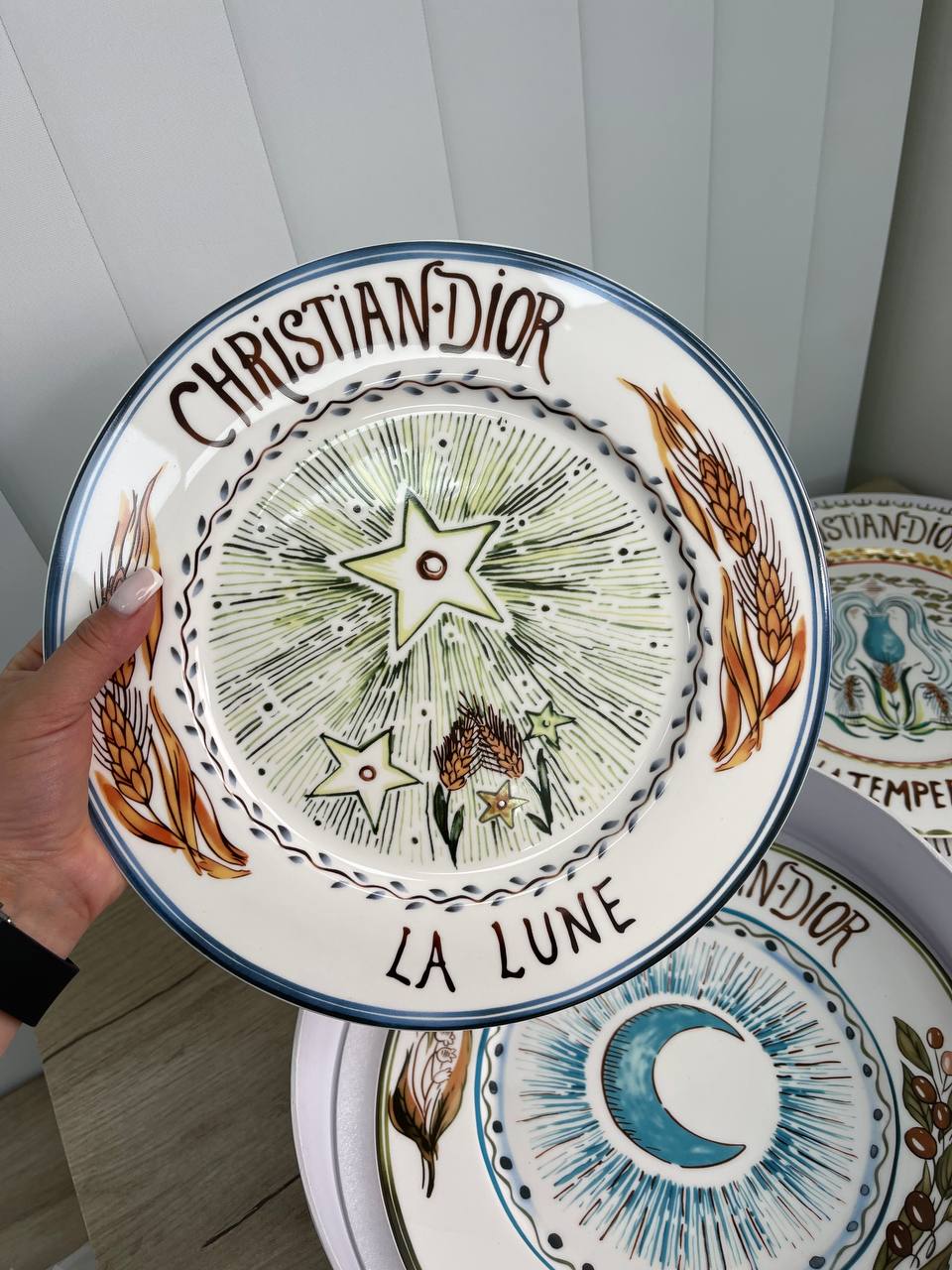 Набор из четырех тарелок (26см)  Christian Dior Артикул PL-789. Вид 3