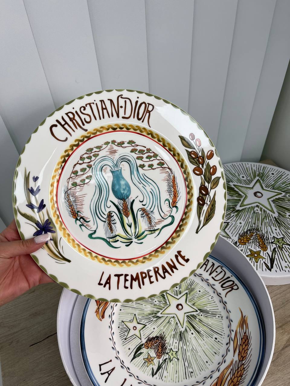 Набор из четырех тарелок (26см)  Christian Dior Артикул PL-789. Вид 4